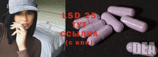apvp Видное