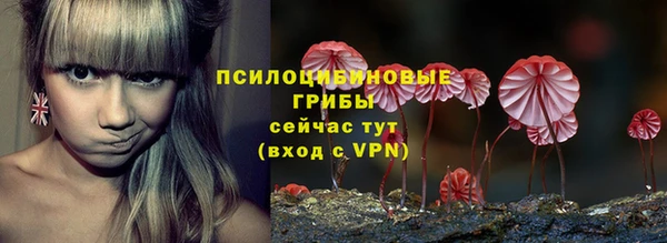 мдпв Переславль-Залесский