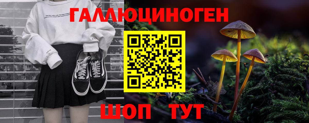 Ртищево  Галлюциногенные грибы Psilocybe  Вход с VPN 