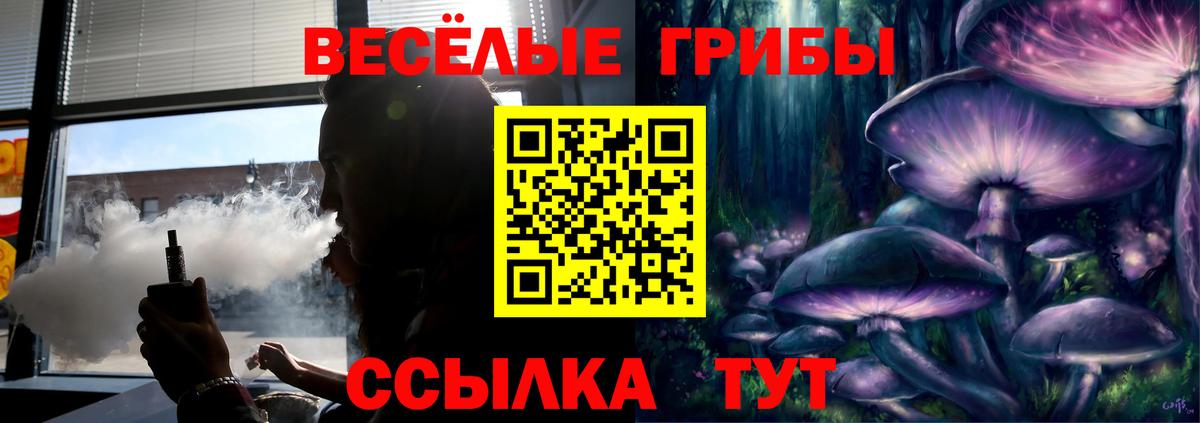 Галлюциногенные грибы Psilocybe Ртищево